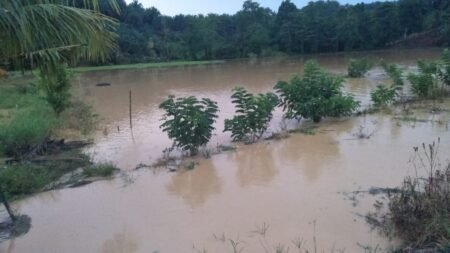 Rendam Persawahan 450x253