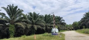 Dari PT RAS ke Agrinas: Ketika Penertiban Negara Berakhir pada PHK dan Hilangnya Hak Buruh img 20251102 092826